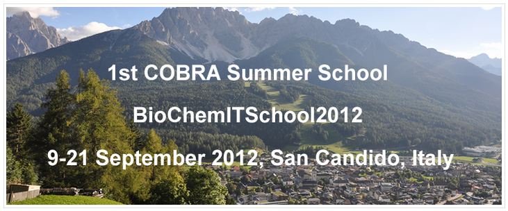 BioChemITSchool2012